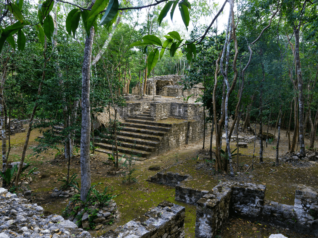 yucatan jungle