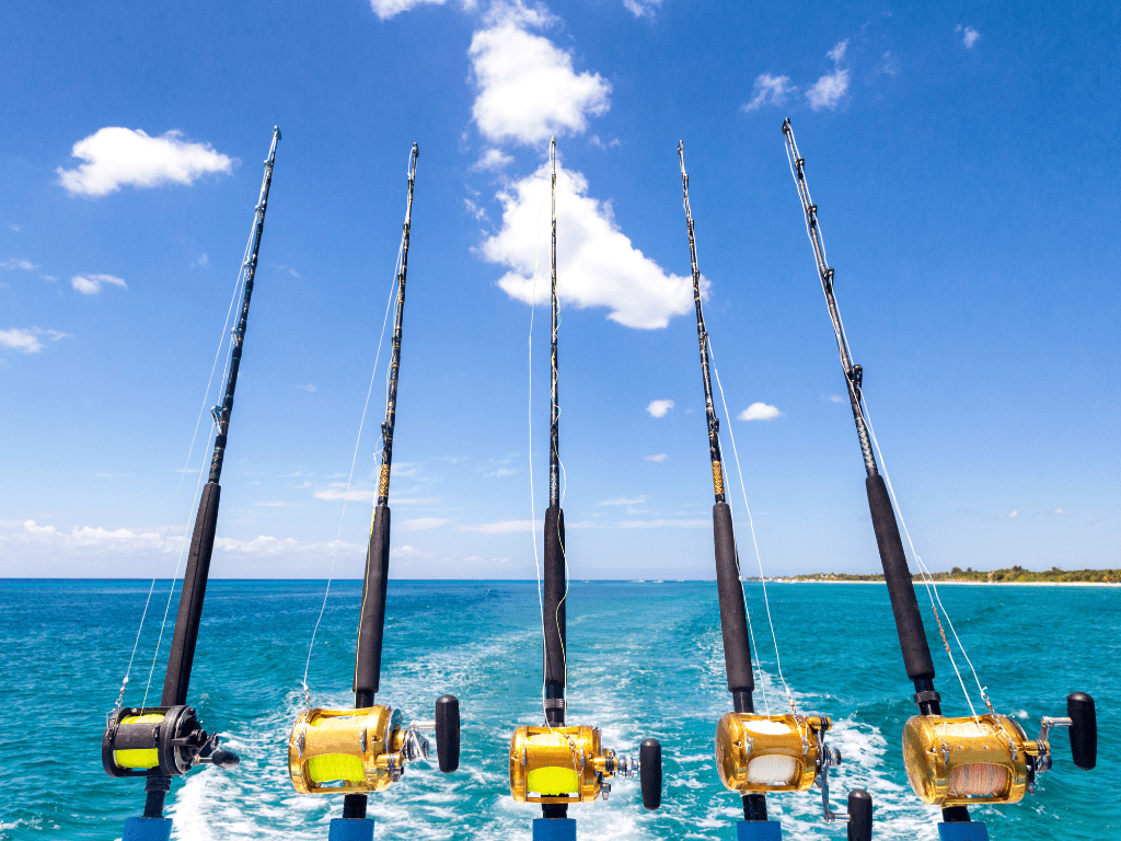 5 rods and reels on a fishing charter boat