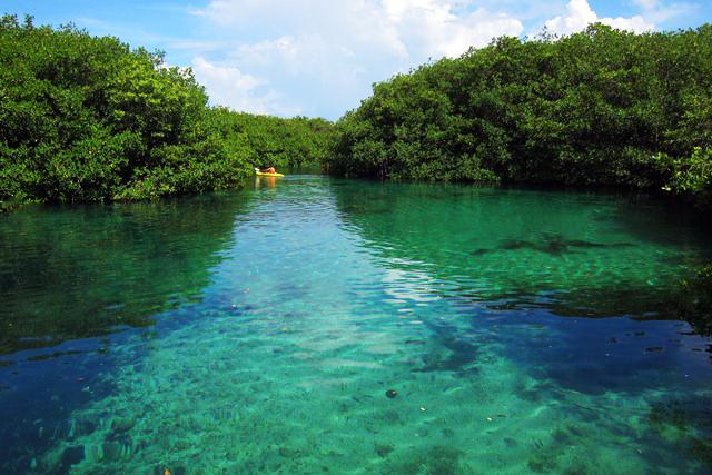 Casa Cenote