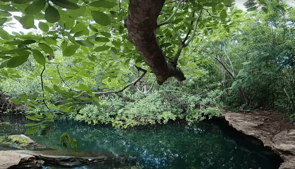 Cenote Aerolito located on Cozumel island