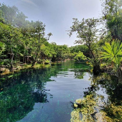 Cenote Jardin de Eden