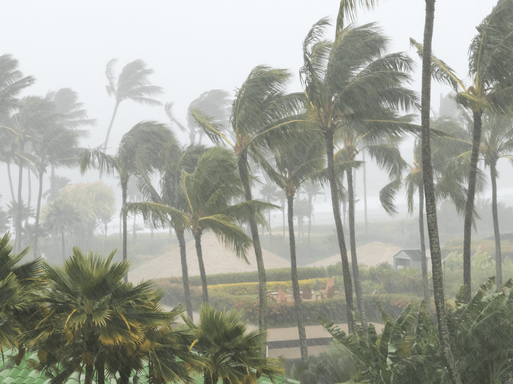 Thunderstorm in the tropics