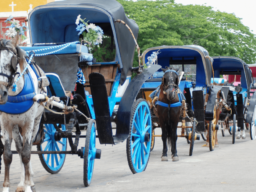 Horse buggy ride in Izamal Mexico