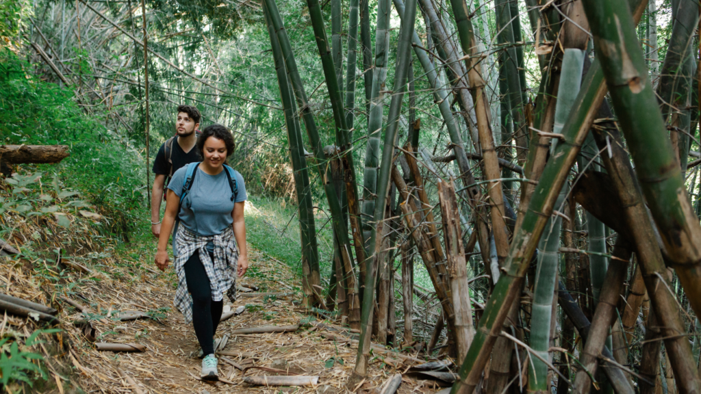 Hiking in the jungle